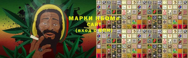 стафф Алексин