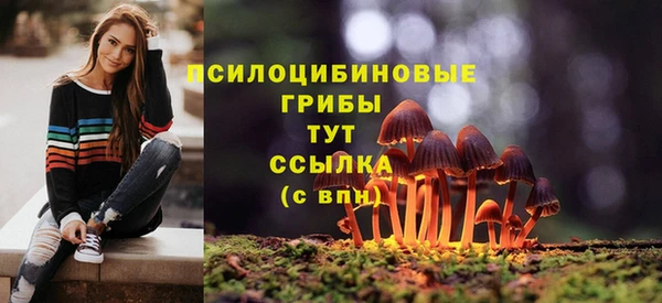 гашик Алексеевка