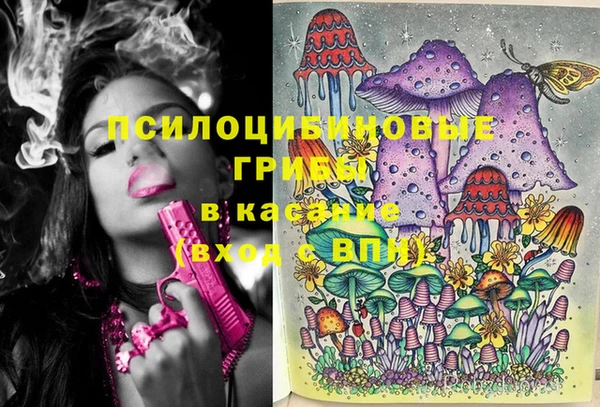 стафф Алексин