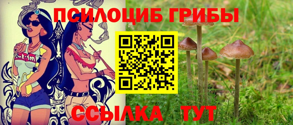 Краснокамск  Галлюциногенные грибы ЛСД  Галлюциногенные грибы ЛСД  хочу   Вход с VPN 